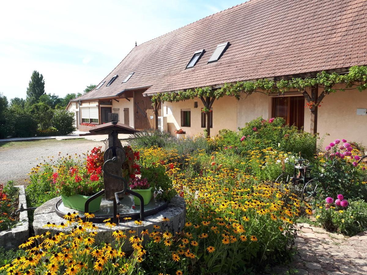 La Sénonaise Sens sur Seille